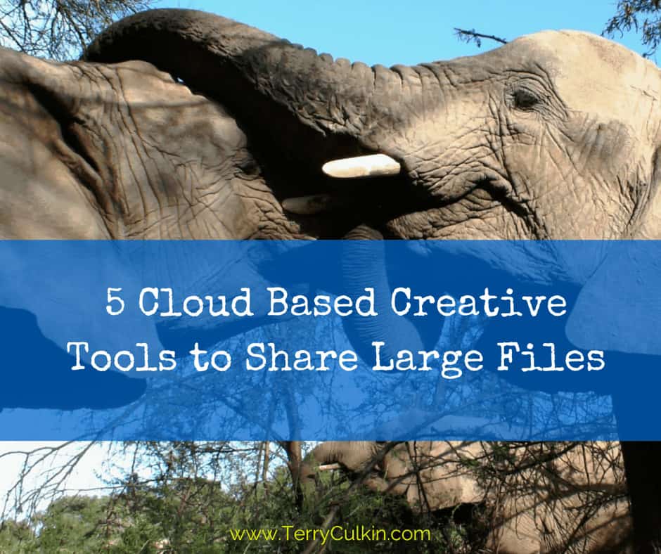 5 Cloud Based Creative Tools to Share